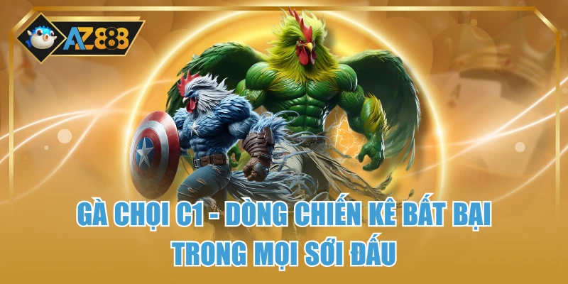 Gà Chọi C1 – Dòng Chiến Kê Bất Bại Trong Mọi Sới Đấu 1 Gà Chọi C1 – Dòng Chiến Kê Bất Bại Trong Mọi Sới Đấu